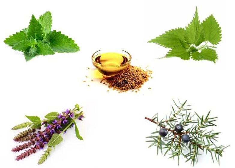 Menta, ortiga, tomillo, enebro y aceite de linaza