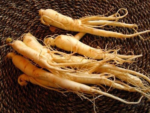 Raíz de ginseng para aumentar la potencia después de los 60