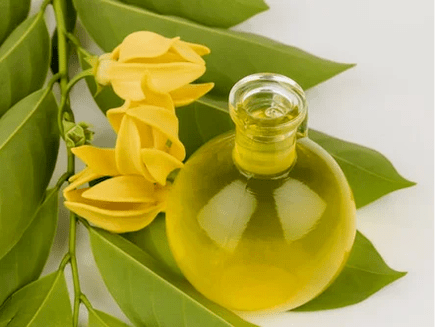 Aromaterapia para mejorar la efectividad